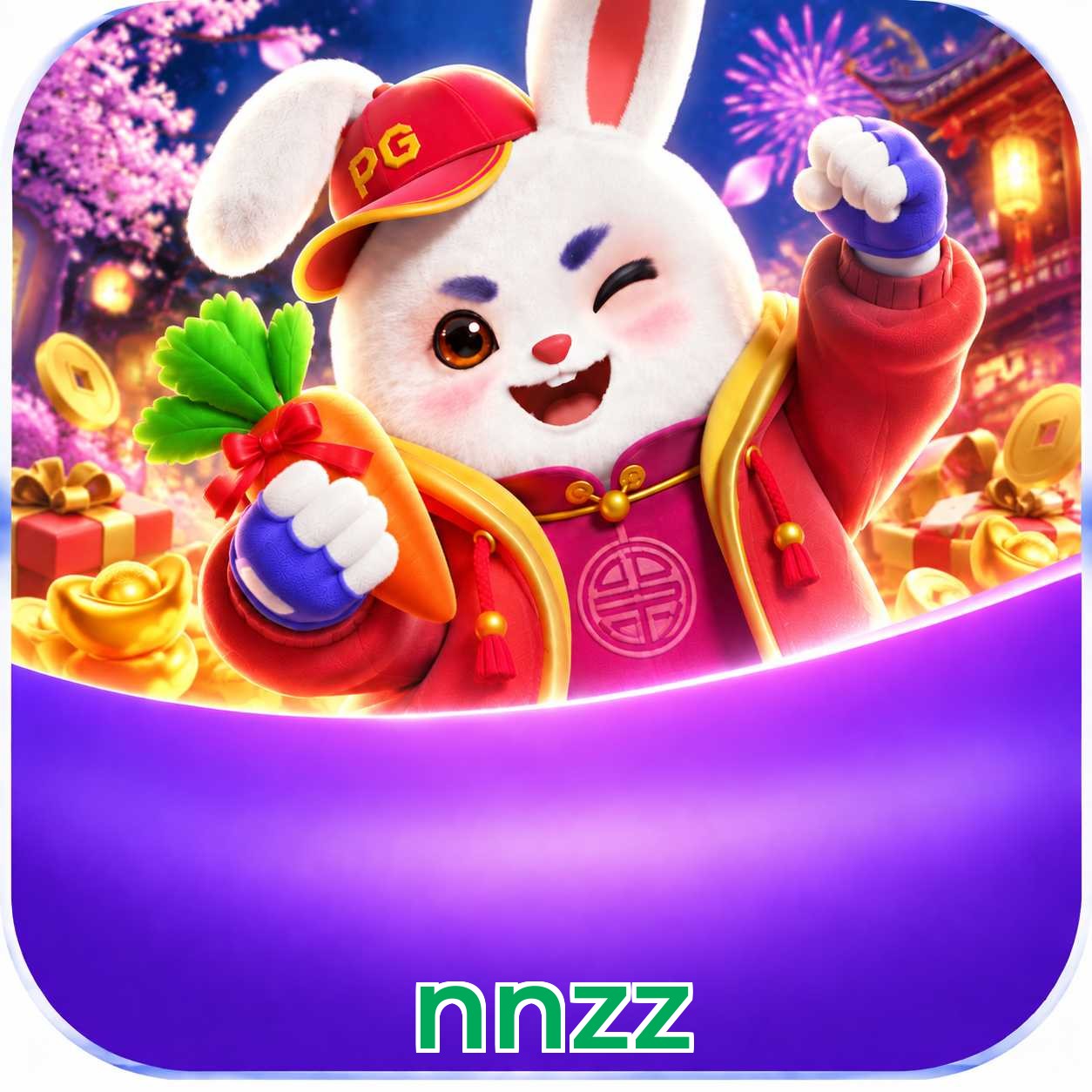 nnzz Troubleshooting
